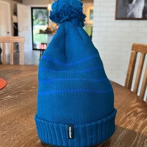 Patagonia winter hat